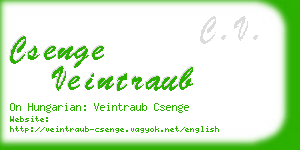 csenge veintraub business card